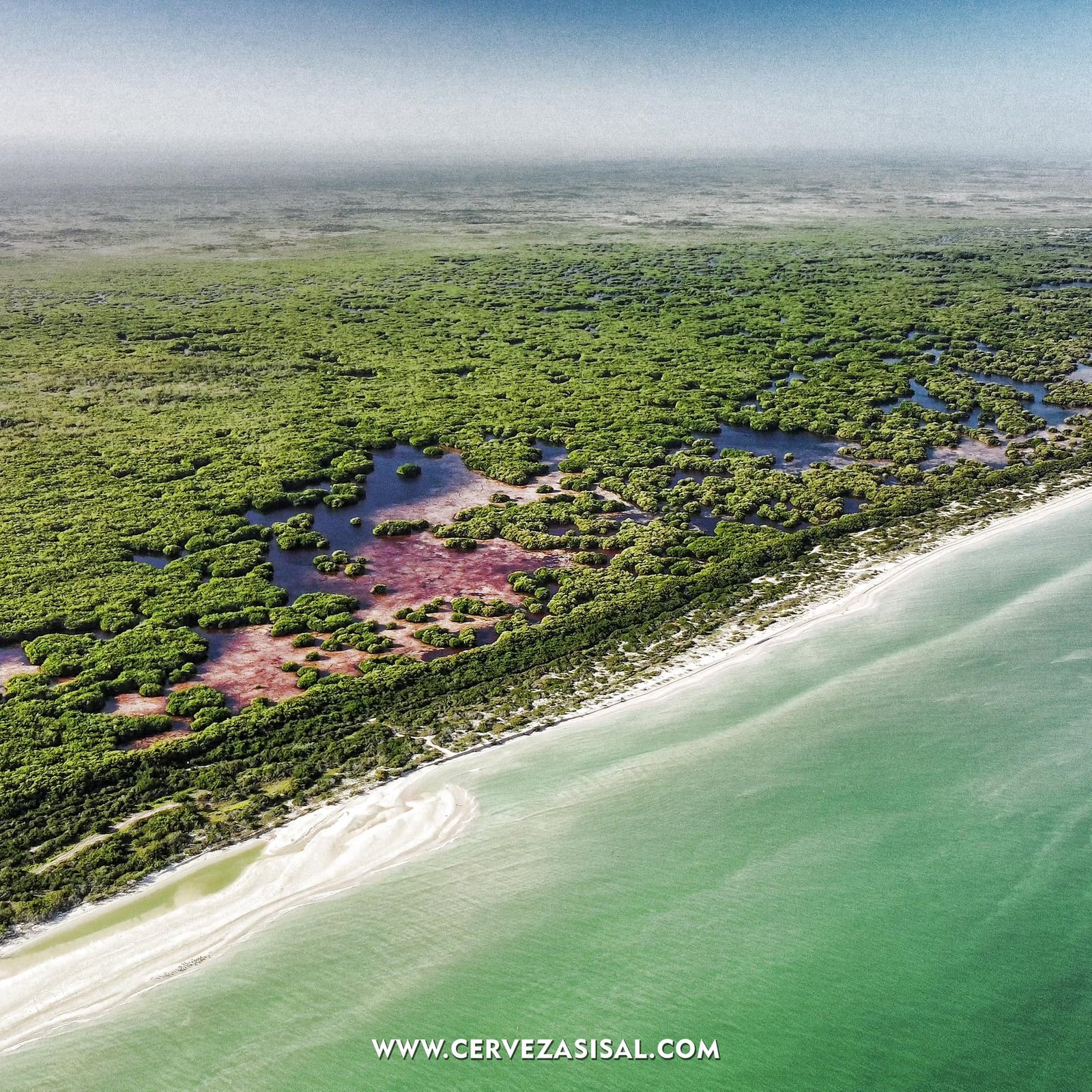 Vista aérea de la costa de Sisal, Yucatán: playa, mar turquesa y manglares