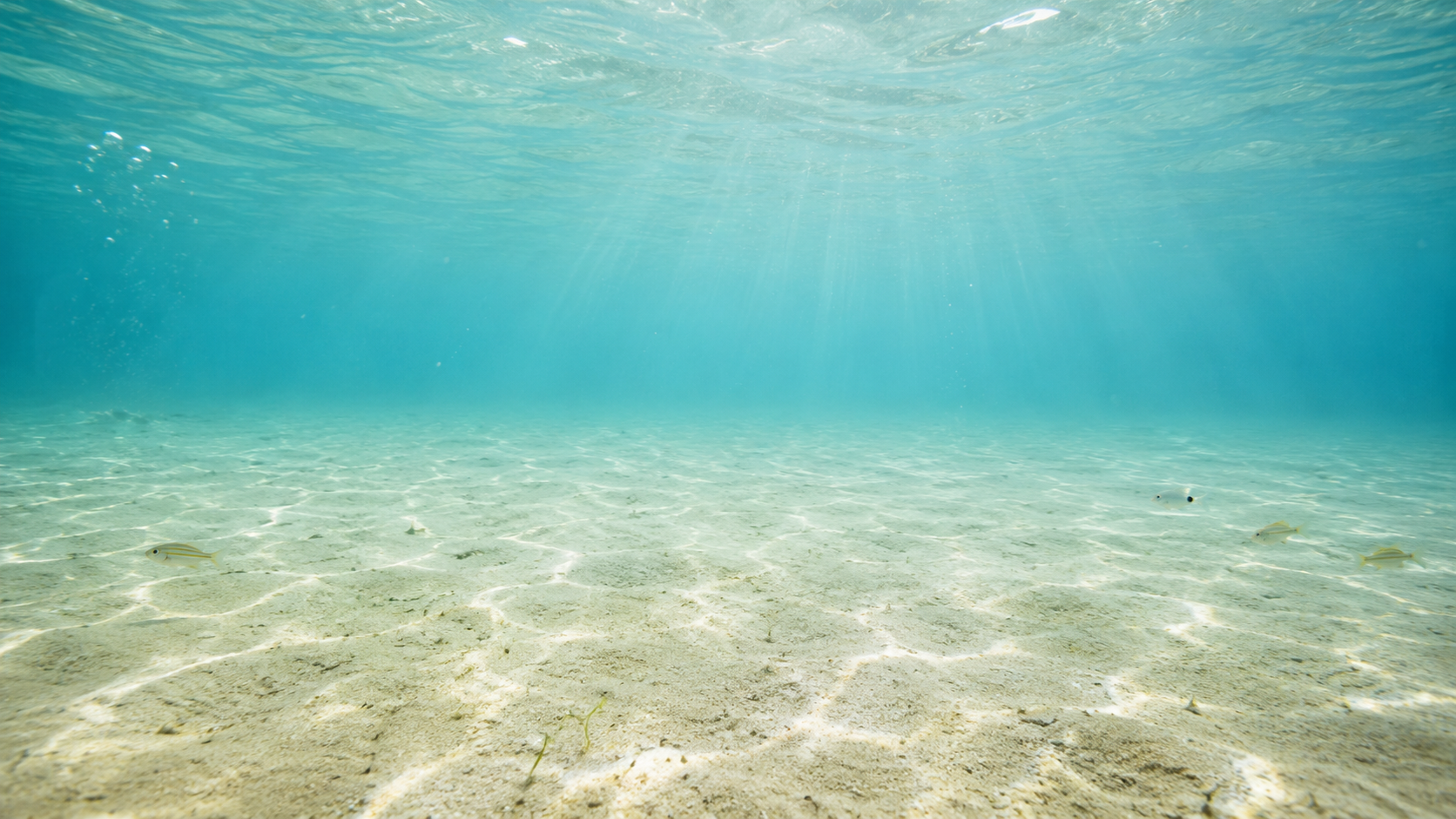 Aguas turquesas cristalinas de los cenotes cerca de Sisal, Yucatán, Cervezas Sisal